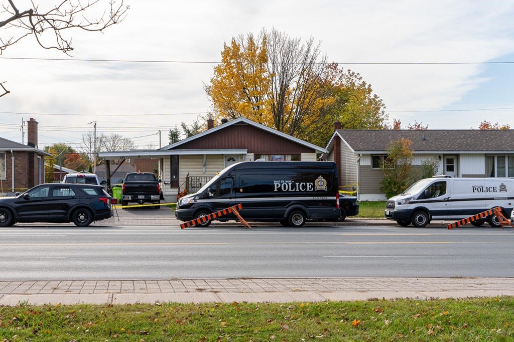 Sault Ste. Marie gunman didn’t have firearms license when he went on rampage: police