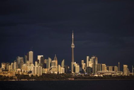 Power restored after squirrel causes outage affecting thousands: Toronto Hydro