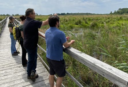 Lending Library and Guided Walks at RRCA’s Cooper Marsh Conservation Area