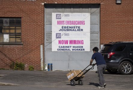 Canada’s jobless rate rises to 6.2% in May as labour market disappoints jobseekers