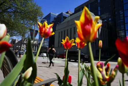 Bank of Canada’s next move less certain after inflation rate ticks higher in May