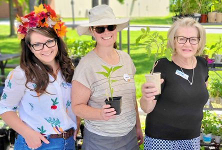 Sow Much Fun at Plant Give-Away