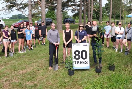 Township of South Glengarry Plants 80 Trees at Glen Gordon Park with RRCA and CDHS