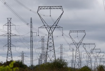 Ontario may need to import electricity during extreme weather: report