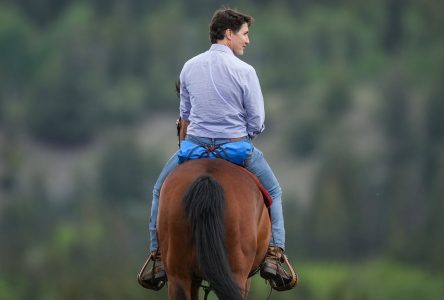 ‘Get back on the horse’: Liberal ministers stand by their man after byelection loss