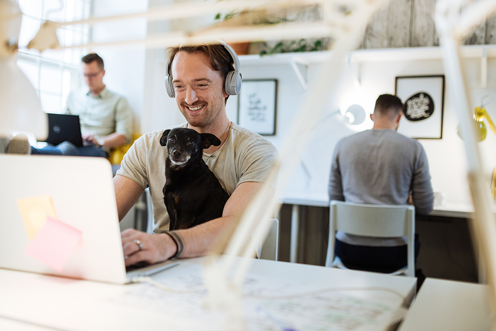 National Take Your Dog to Work Day