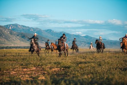 National Day of the Cowboy