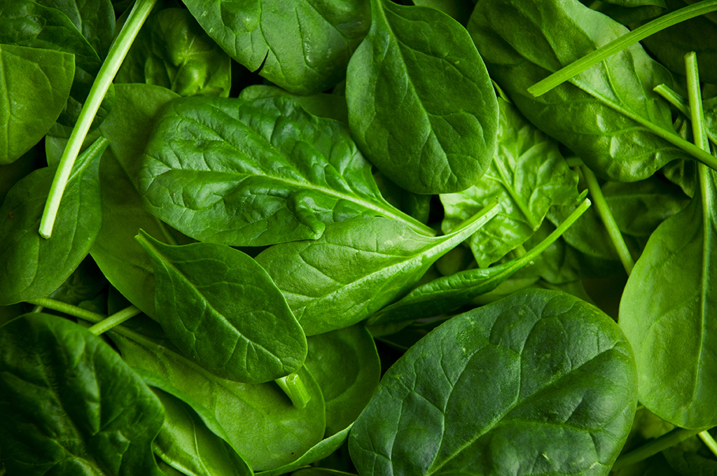 Fresh Spinach Day