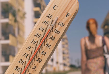 Residents Urged to Take Precautions During Anticipated High Temperatures