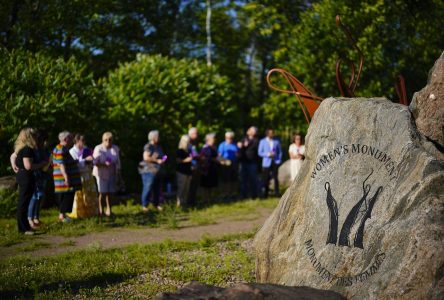 Domestic violence strategy should include more prevention programs: experts