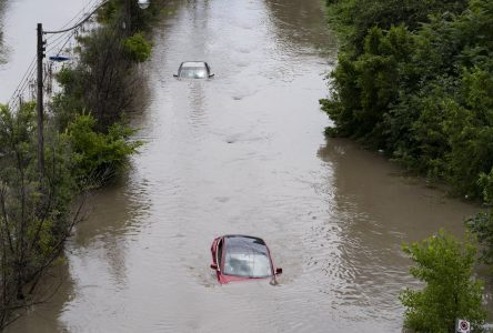 Torrential rain causes major flooding in Toronto, parts of GTA