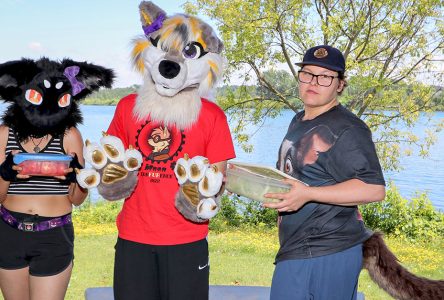 Furry Friends Gather for Summer Picnic