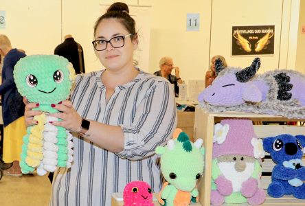 Crochet Plushies add Charm to Cornwall Market
