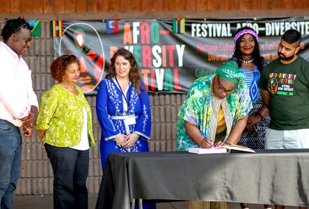 Festival International Afro Celebrates Diversity