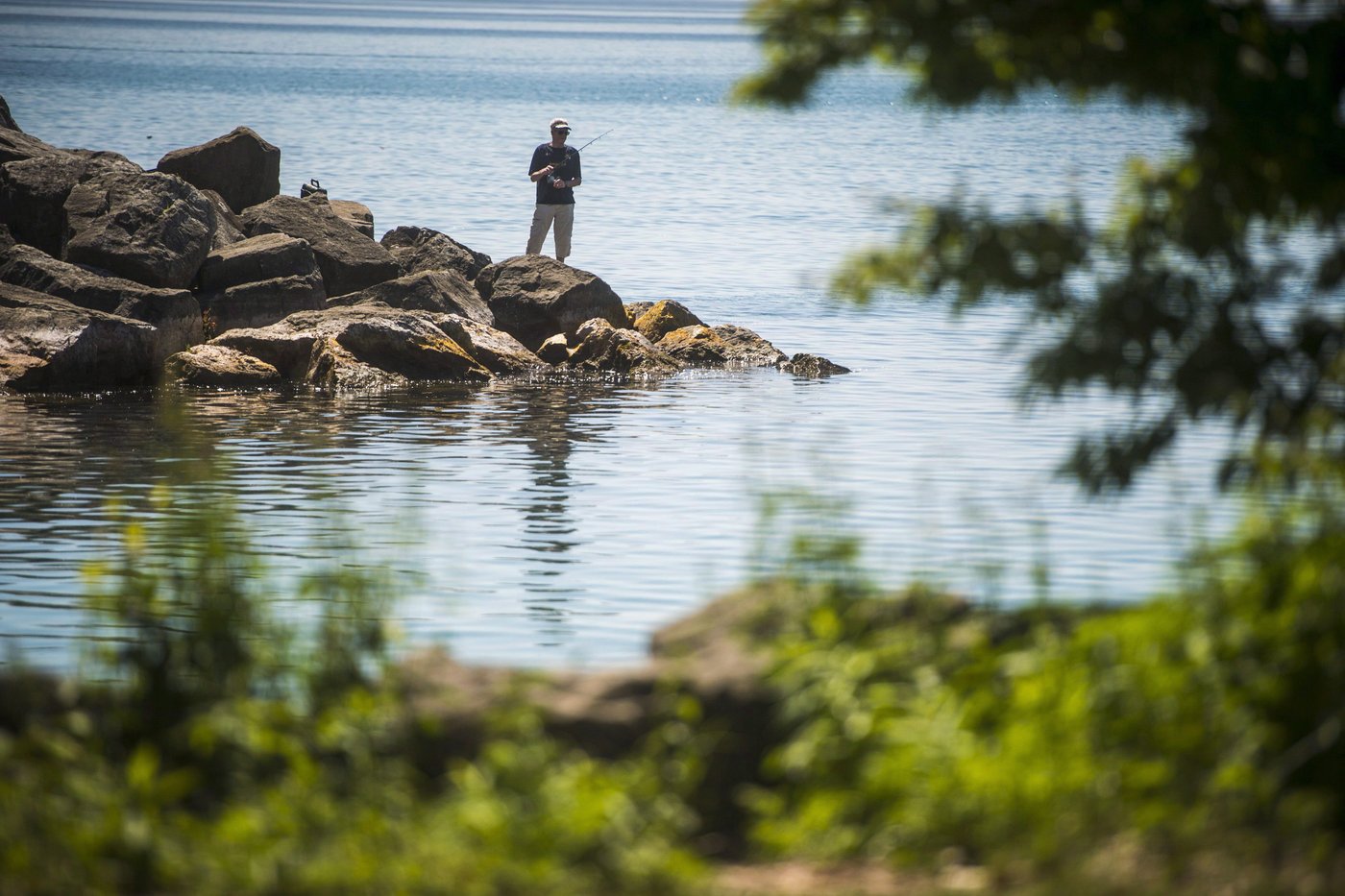 ‘Pervasive environmental issue’: Microplastics levels high in Toronto-caught fish