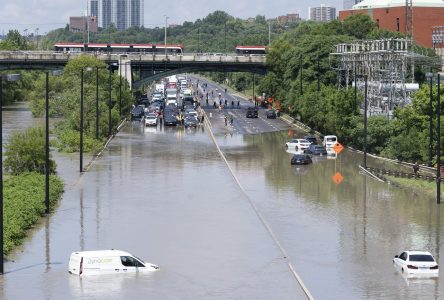 Toronto food bank asks for help after flooding damaged facility