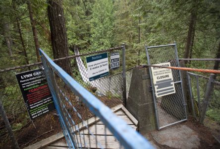 Ontario teen, due to start at UBC, dies in fall off 50-metre cliff in Metro Vancouver