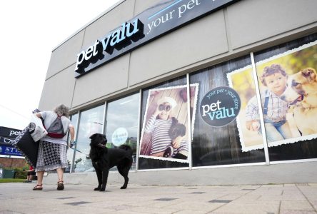 Pet Valu reports Q2 profit down from year ago, revenue higher