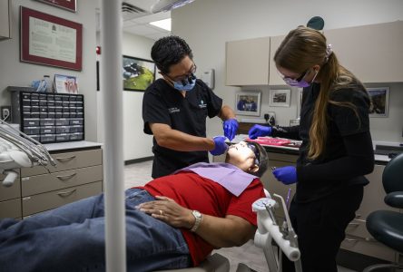 Many more dentists on board to provide services under dental-care program: Holland