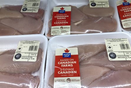 Maple Leaf Foods reports $26.2M Q2 loss as company prepares to spin off pork business