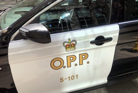 Prince Edward County man dead after being spotted in Lake Ontario near Point Petre