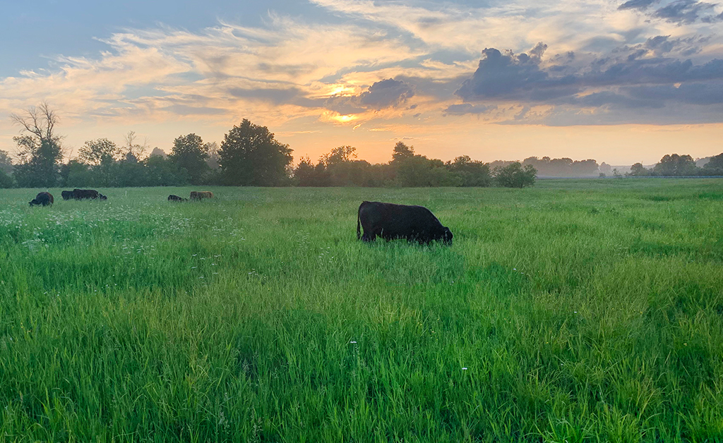 Farmers Invited to Agri-Action Land Stewardship Twilight Tour