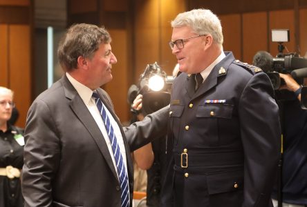 Move quickly on gun regulations, directives to stem domestic violence, Ottawa urged