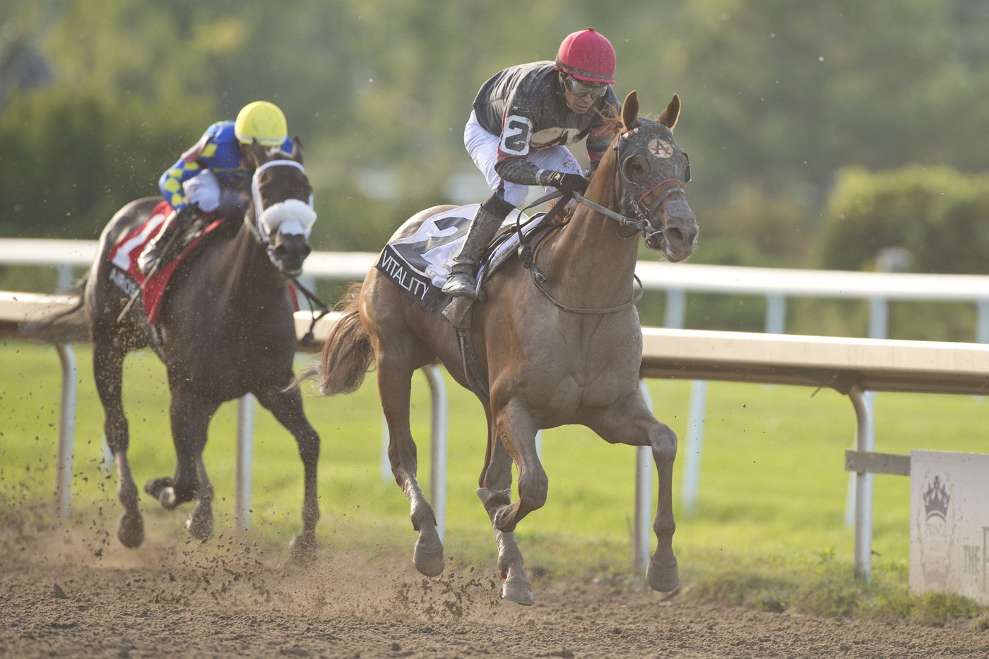 Strong stretch run earns Vitality the win in Prince of Wales Stakes race