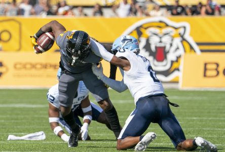 Toronto Argonauts chase third straight Labour Day win over Hamilton Tiger-Cats