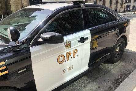 Court rejects OPP finding of no ‘serious’ officer misconduct after pedestrian killed