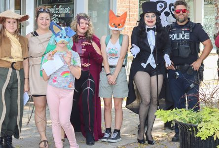 Cornwall Celebrates First Cosplay Appreciation Day