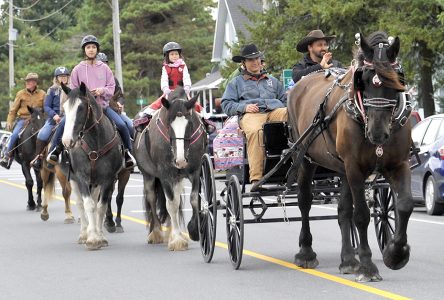 Fall Harvest Festival