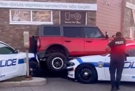 Man arrested after officers buck Bronco truck’s attempt to drive over police cruisers