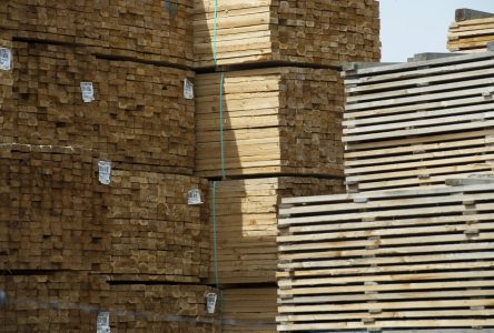 Canada launches legal challenges of U.S. softwood lumber duty increases