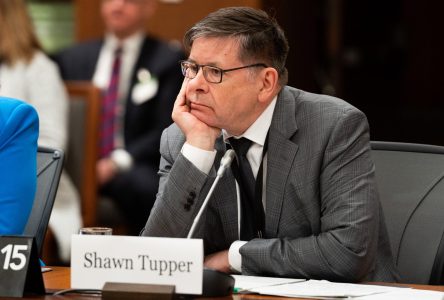 Current, former Public Safety Canada officials to appear at interference inquiry