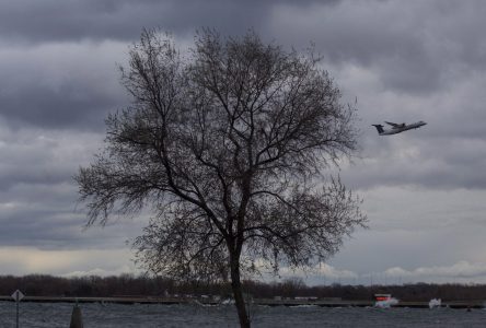 Toronto island airport lease extended for up to 12 years