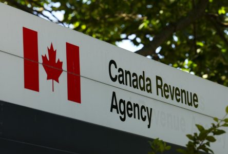 Privacy commissioner investigates federal revenue agency data breaches