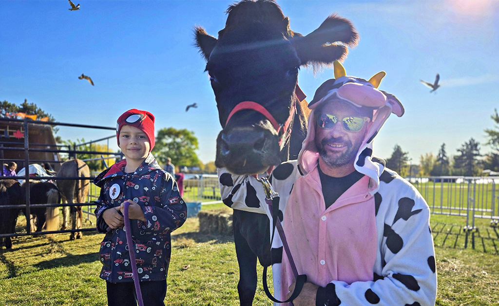 Cow Walks and Petting Zoo Take Over Lamoureux Park