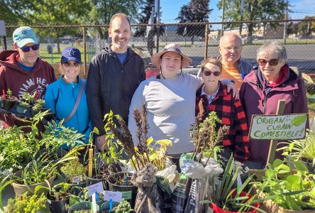 Inaugural Autumn Plant Sale Blooms