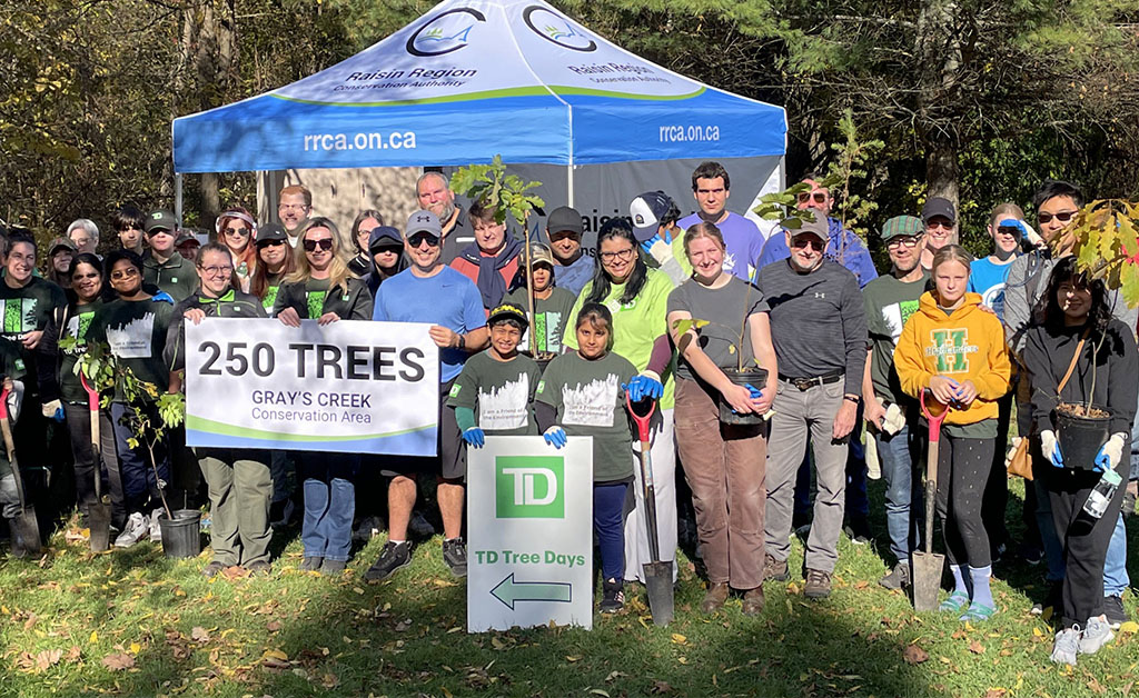 250 Trees Planted at Gray’s Creek