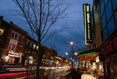 Hot Docs announces gradual return of programming, next year’s film festival dates