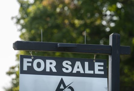 CREA lowers housing market forecast for 2024 amid ‘holding pattern’ for home sales