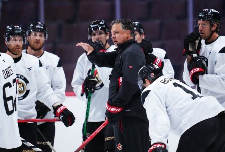 Expectations higher for Ottawa Senators this season under new coach Travis Green