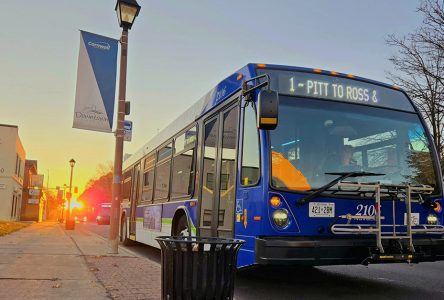 Cornwall Transit Celebrates 50th Anniversary with Free Fare Day