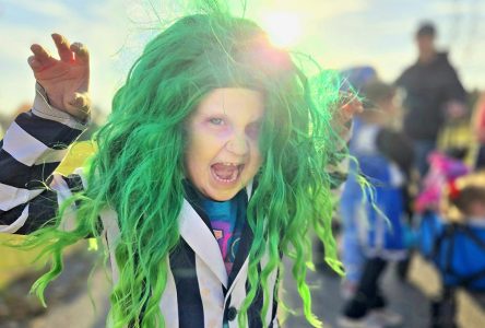 Families Flock to Trunk or Treat