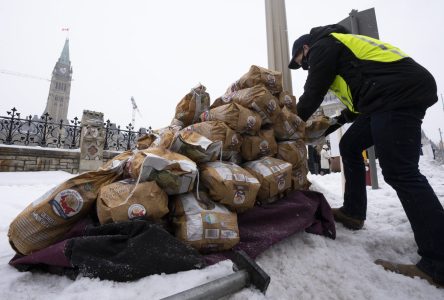 Potato wart: Appeal Court rejects P.E.I. Potato Board’s bid to overturn ruling