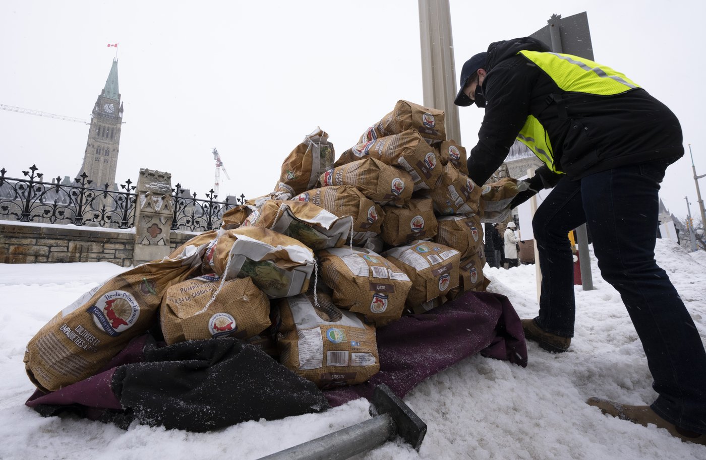 Potato wart: Appeal Court rejects P.E.I. Potato Board’s bid to overturn ruling