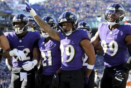 Solid majority of Proline players taking Ravens to defeat Bengals on Thursday night