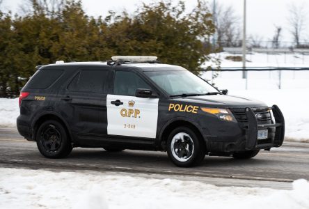 81-year-old woman dead after dog attack at northern Ontario home: OPP