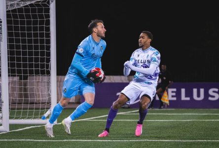 York United FC Academy to debut in League1 Ontario Championship Division next year